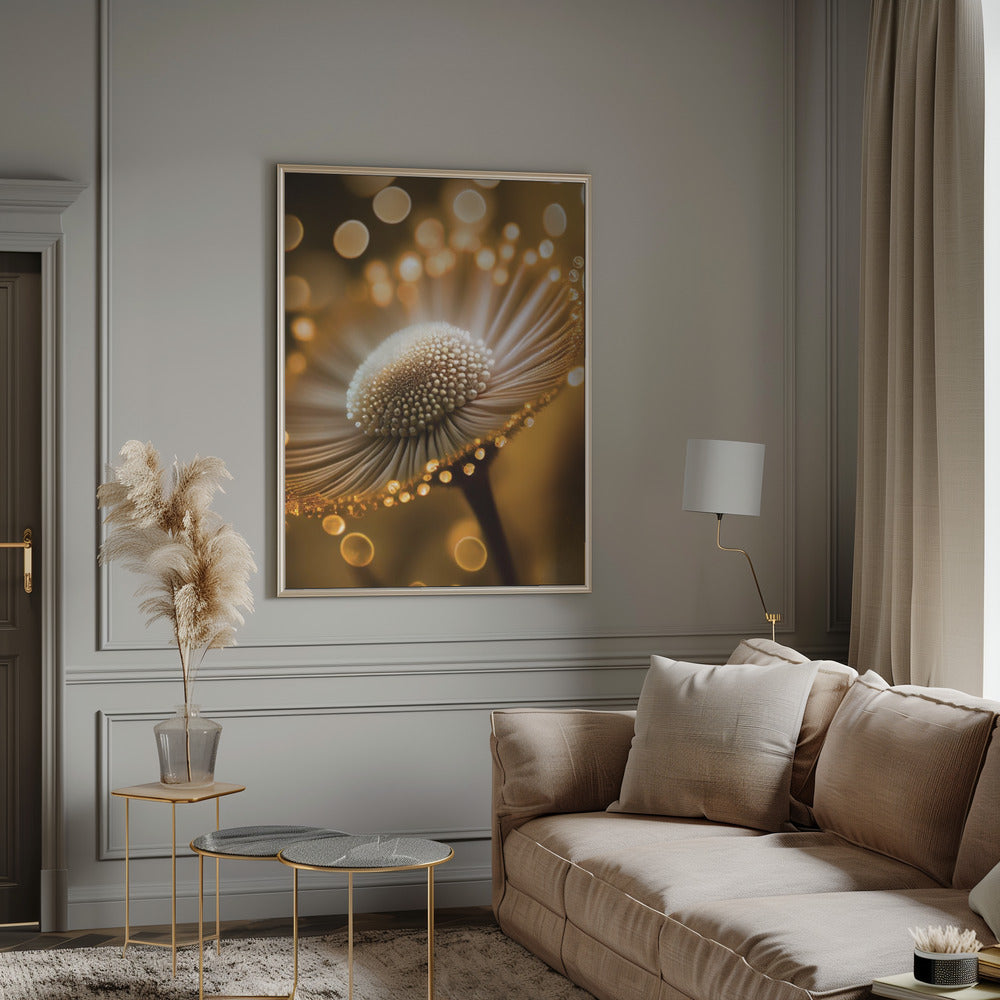 Golden Hour Poster